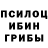 Псилоцибиновые грибы ЛСД Anel Zhassulanova
