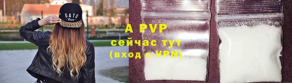 прущий лед Гусев