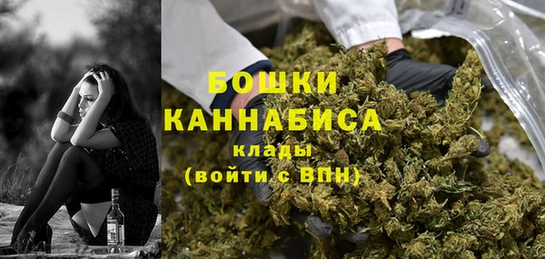 прущий лед Гусев