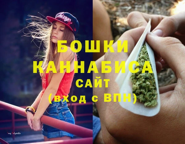 прущий лед Гусев