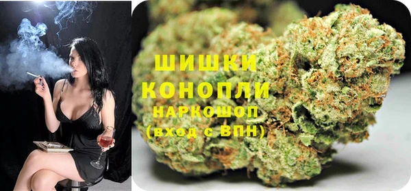 прущий лед Гусев