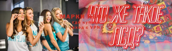 трава Гусь-Хрустальный