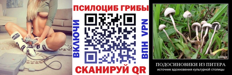 Купить закладки  Новодвинск  Псилоцибиновые грибы Psilocybe 